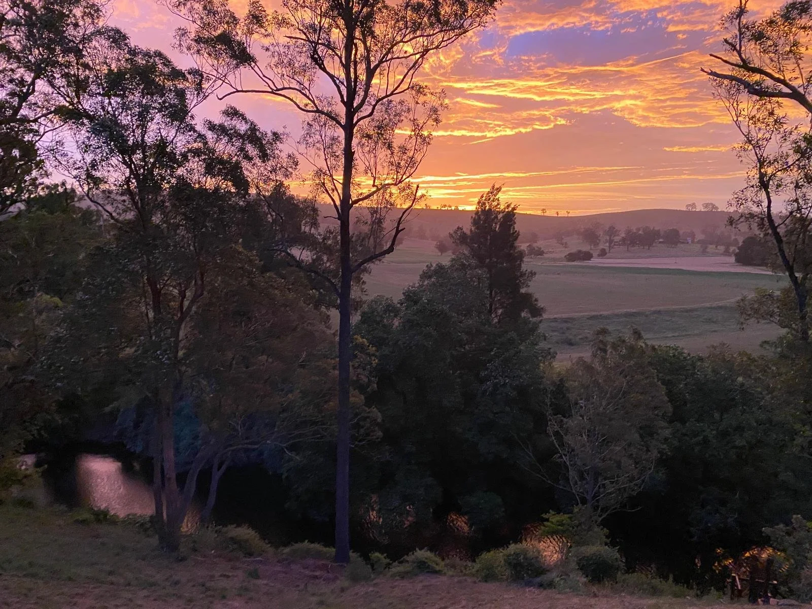 WhatsApp Image 2026-01-09 at 11.45.46.jpeg