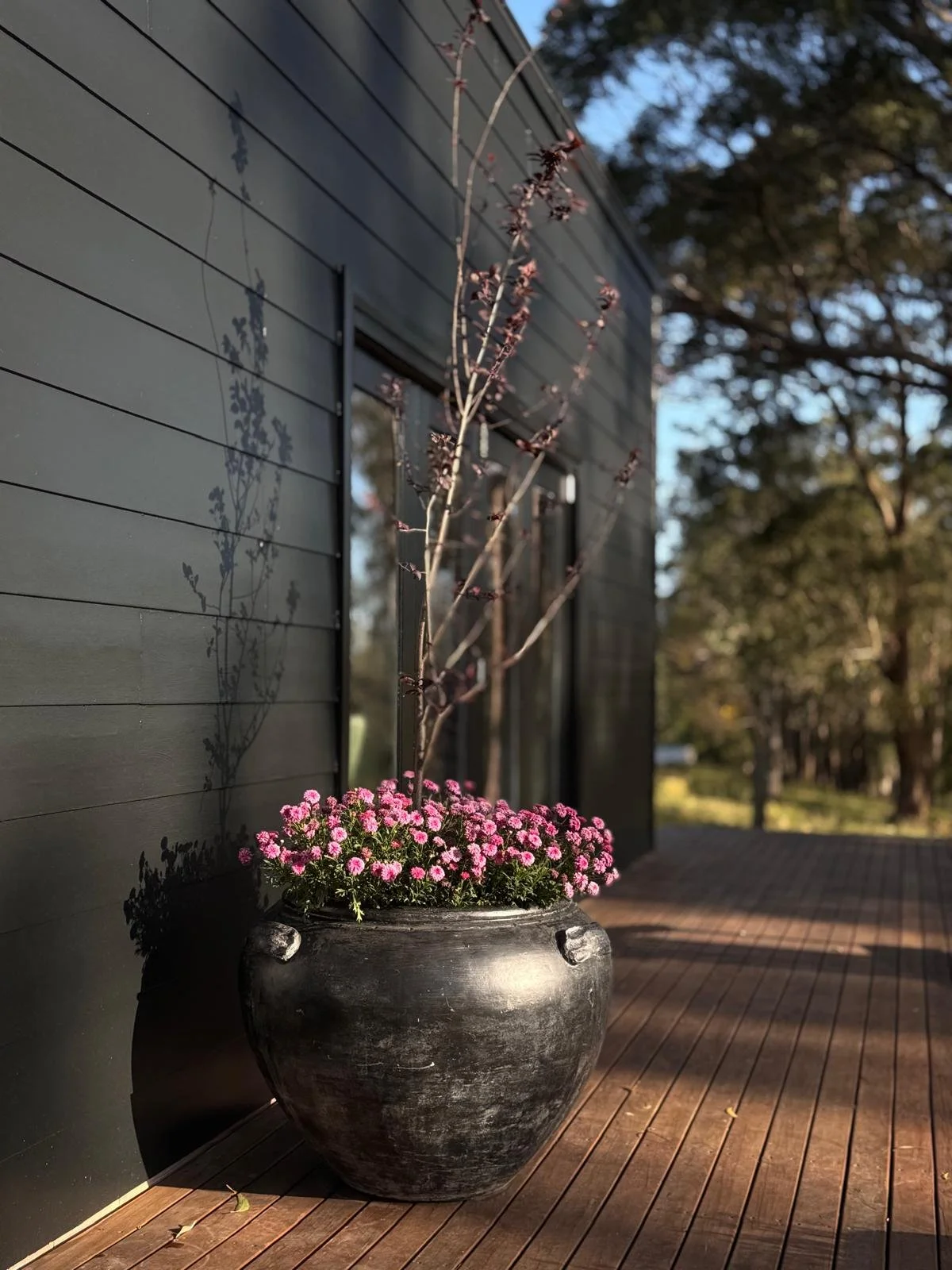 WhatsApp Image 2026-01-09 at 12.28.37.jpeg