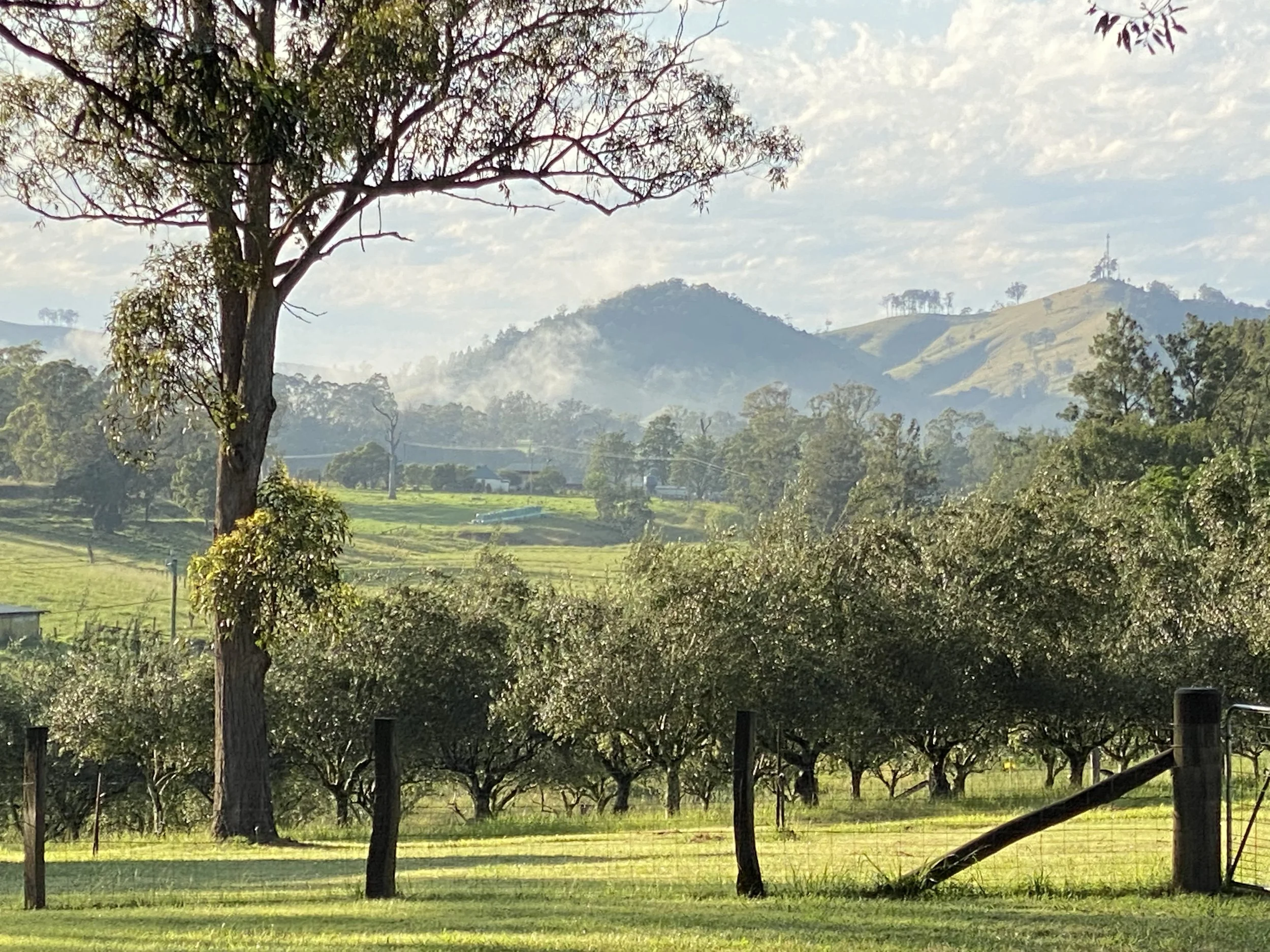 A landscape with green grass, trees, rolling hills in the background, and a sky with scattered clouds.