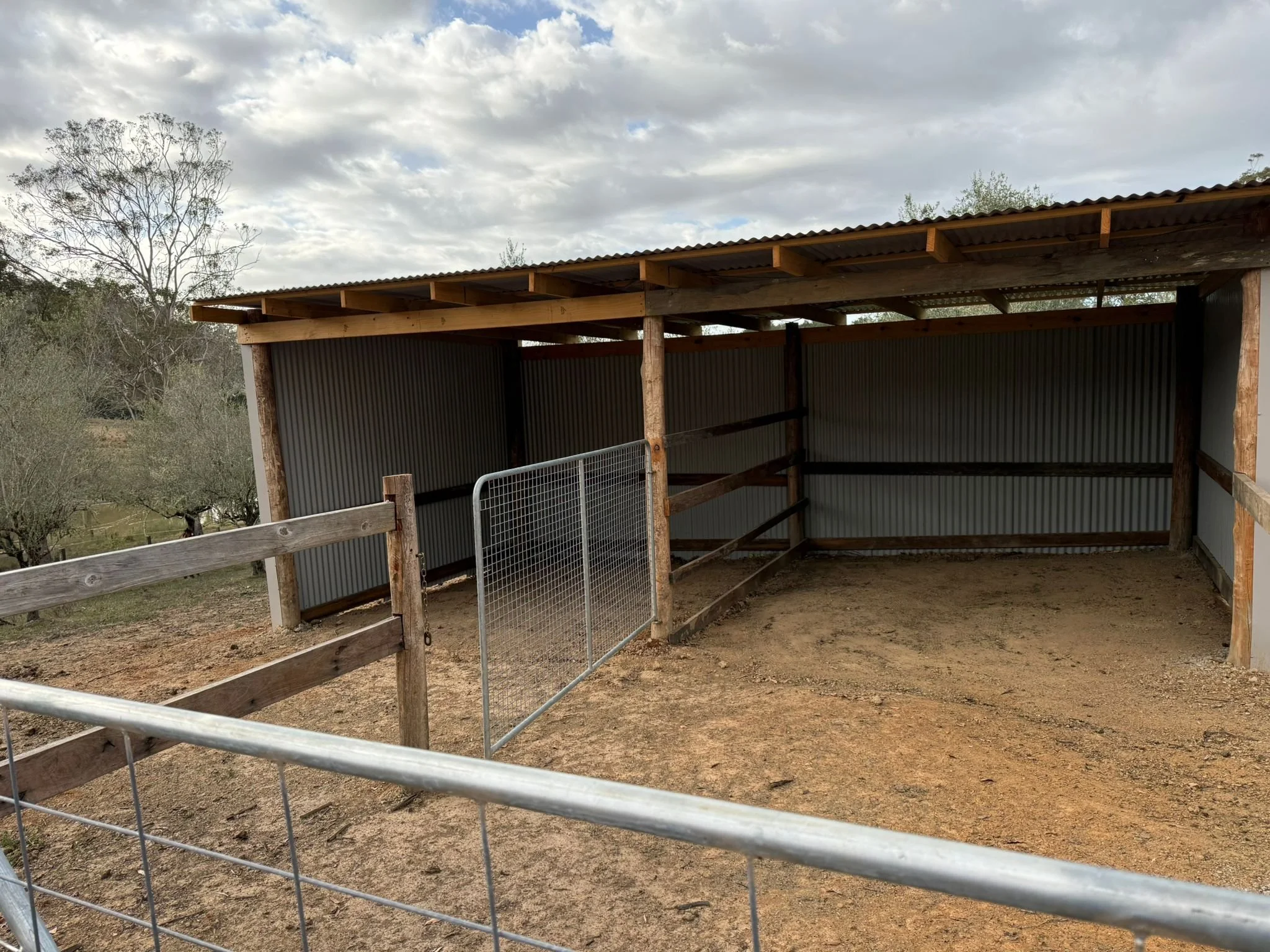 WhatsApp Image 2026-01-09 at 15.27.15 (1).jpeg