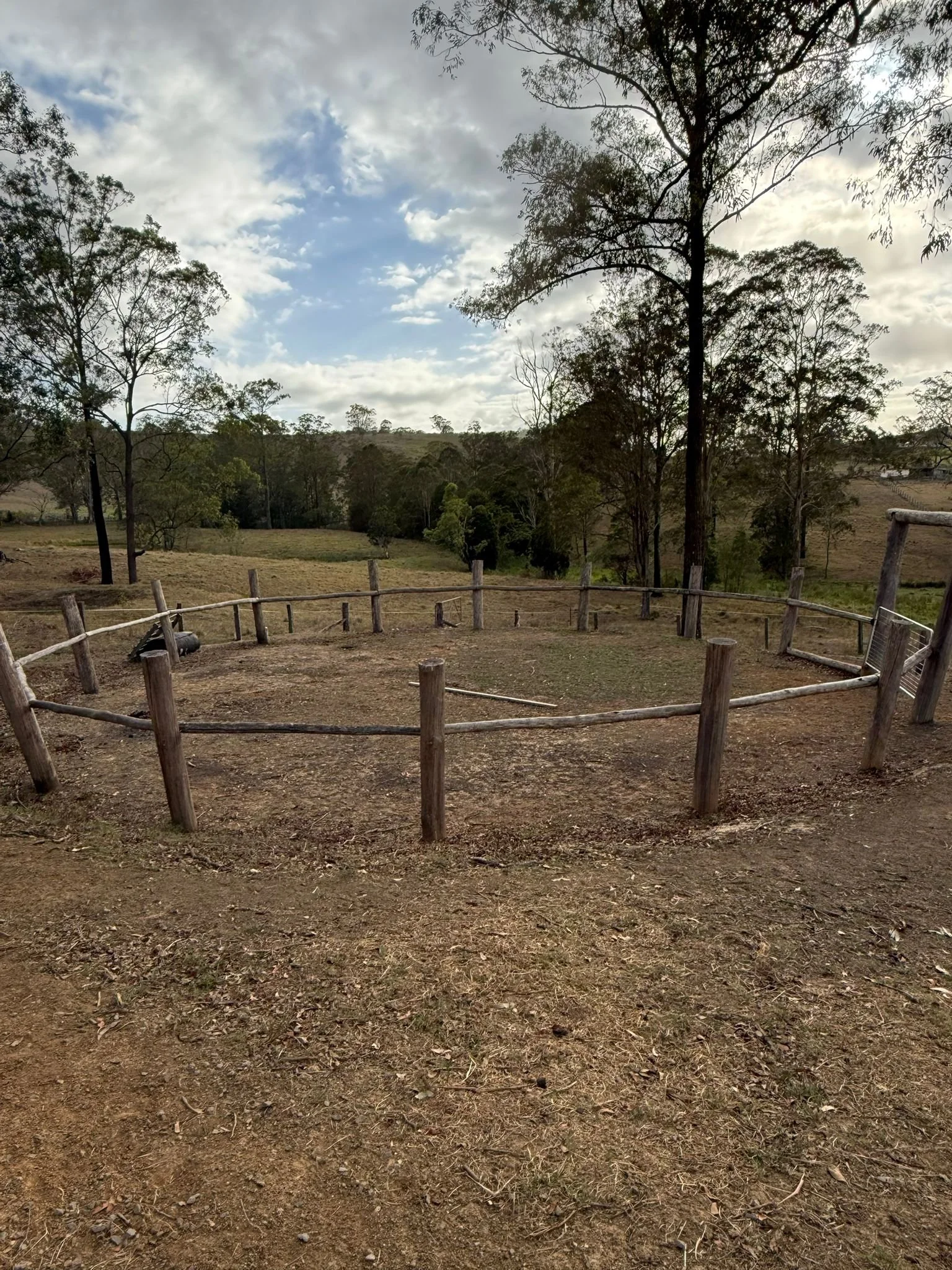 WhatsApp Image 2026-01-09 at 15.27.14.jpeg