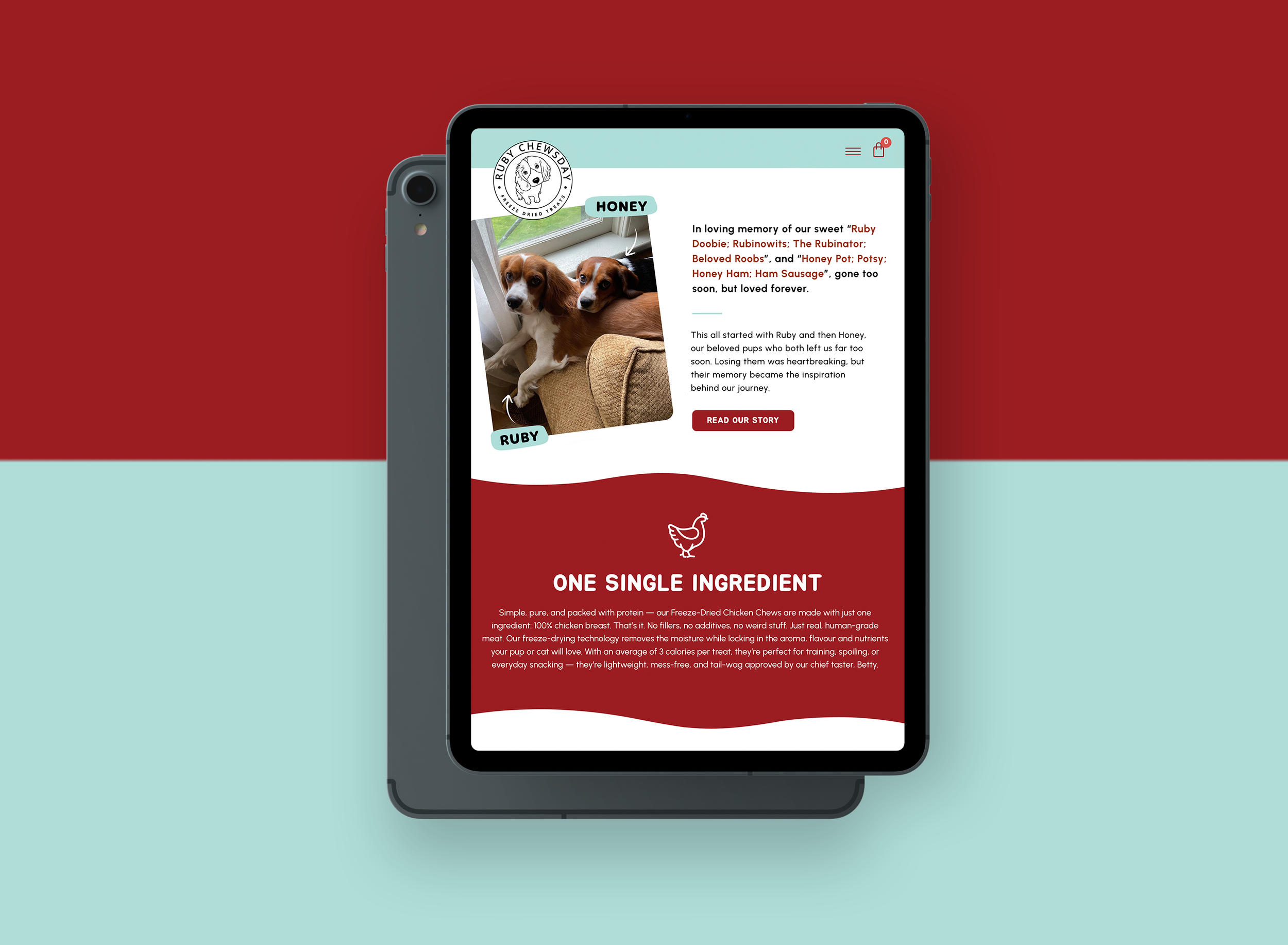 ipad-web-mockup.png