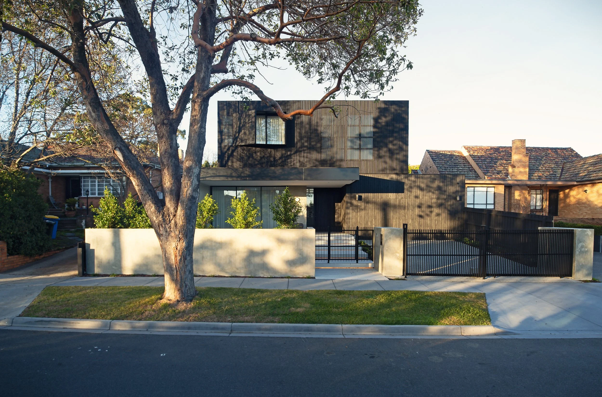 Untitled_Panorama-3 copy 1.jpg