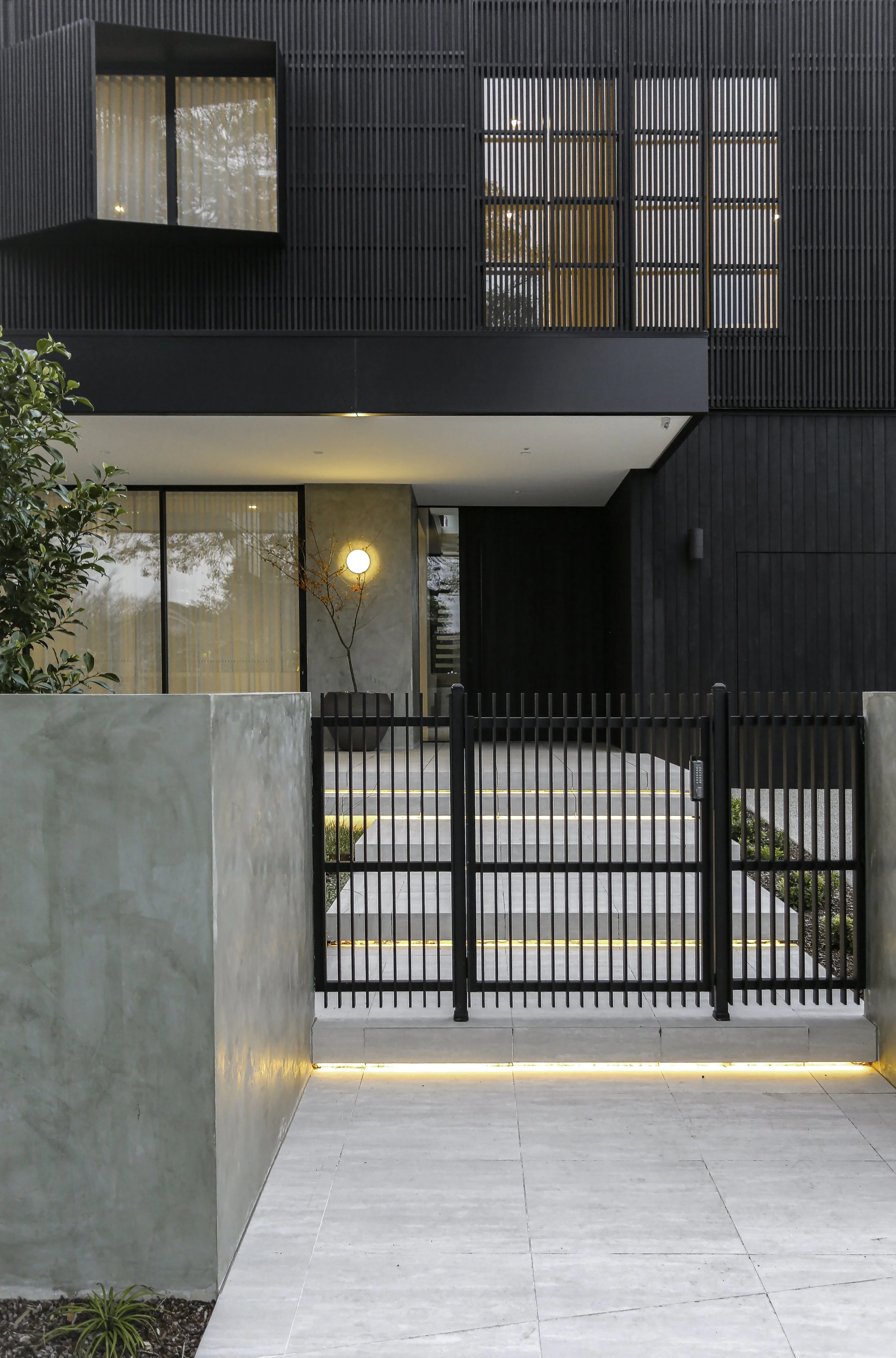 256A1571-Edit copy.jpg