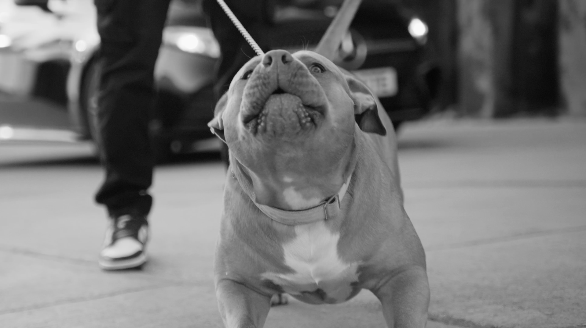 Screenshot 2026-01-31 at 10.37.28.png