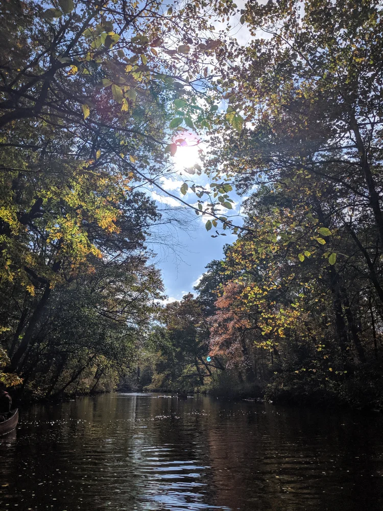 River Rise
