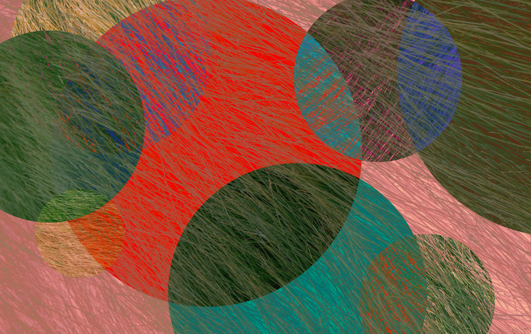 Schizophrenia • Neurocrine