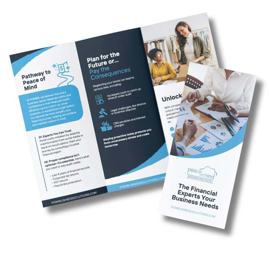 Brochure for Peace of Mind Business Solutions with information on financial management and consulting services, featuring images of two women in a discussion, charts, and a clean professional layout.
