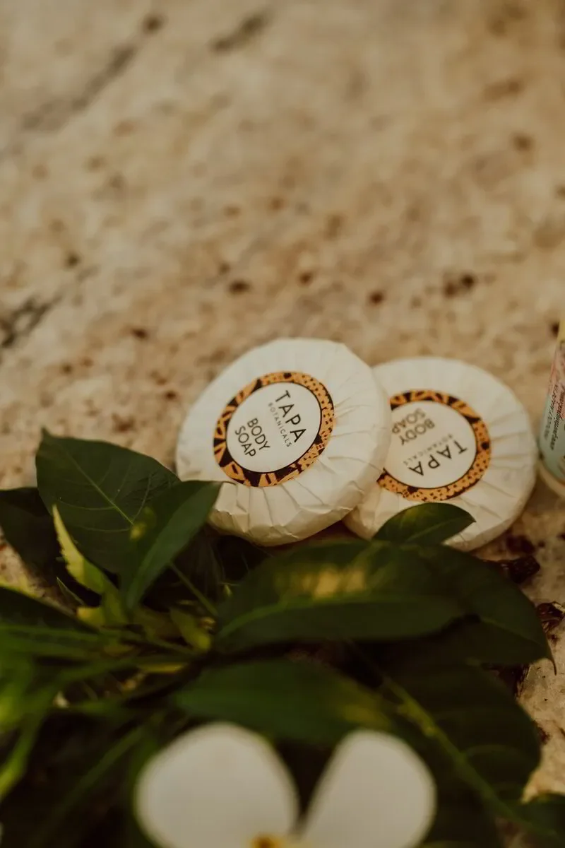Two round wrapped soap bars labeled 'TAPAS Botanical Body Soap' placed on a beige countertop, with a green leafy plant nearby.