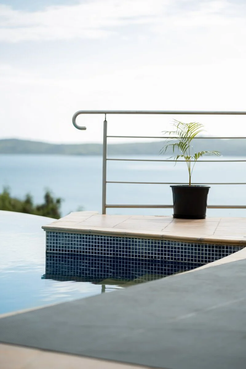 A potted plant on a tiled ledge overlooking a swimming pool and a body of water in the distance under a partly cloudy sky.