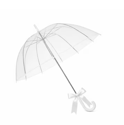 2026-07-20 07_11_41-transparent umbrella wedding photos - Google Search.png