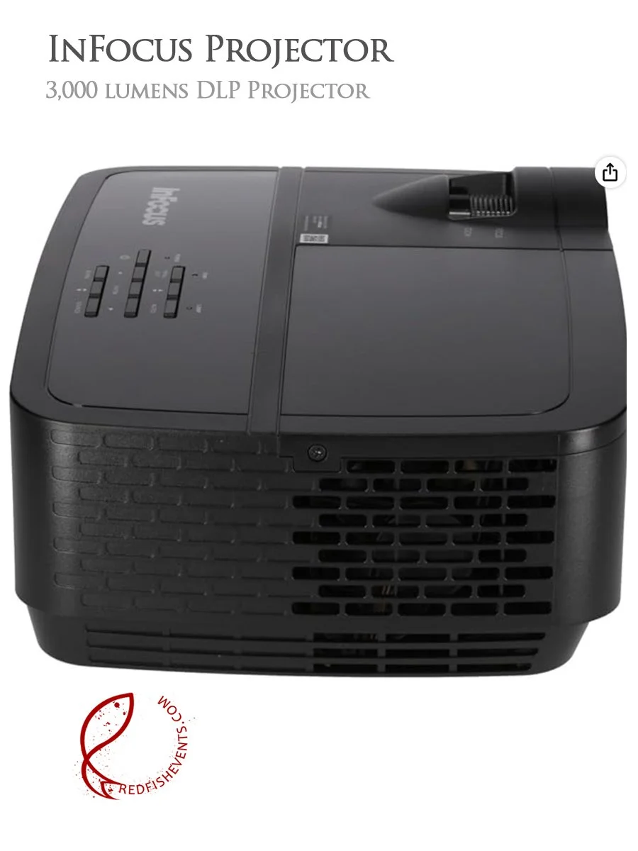 Projector IF 2.jpg
