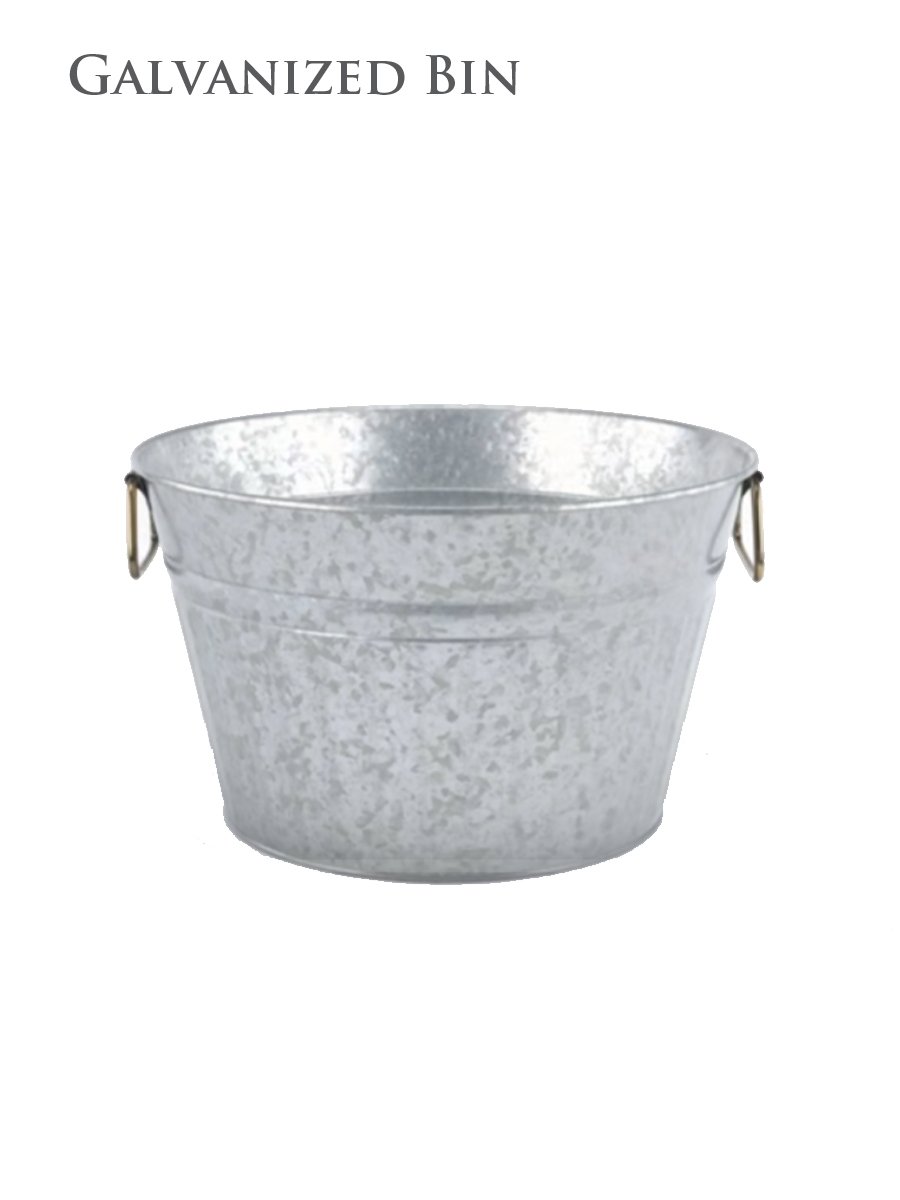 Galvanized Metal Bin