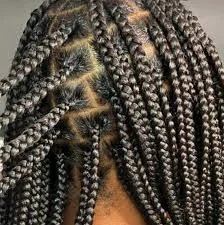 Close-up of a person's head with long box braids hairstyle.