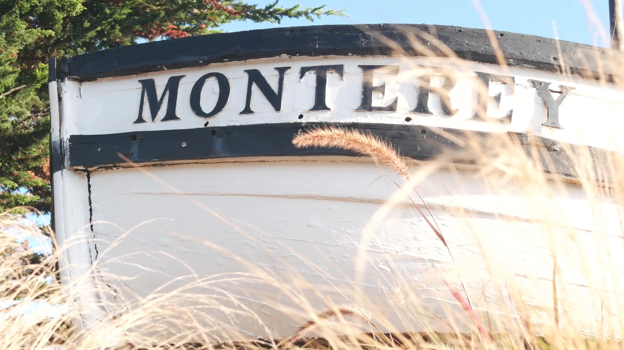 Close-up image of a weathered white sign with black letters reading 'MONTERY', partially obscured by tall dry grass in the foreground, with trees and a blue sky in the background.