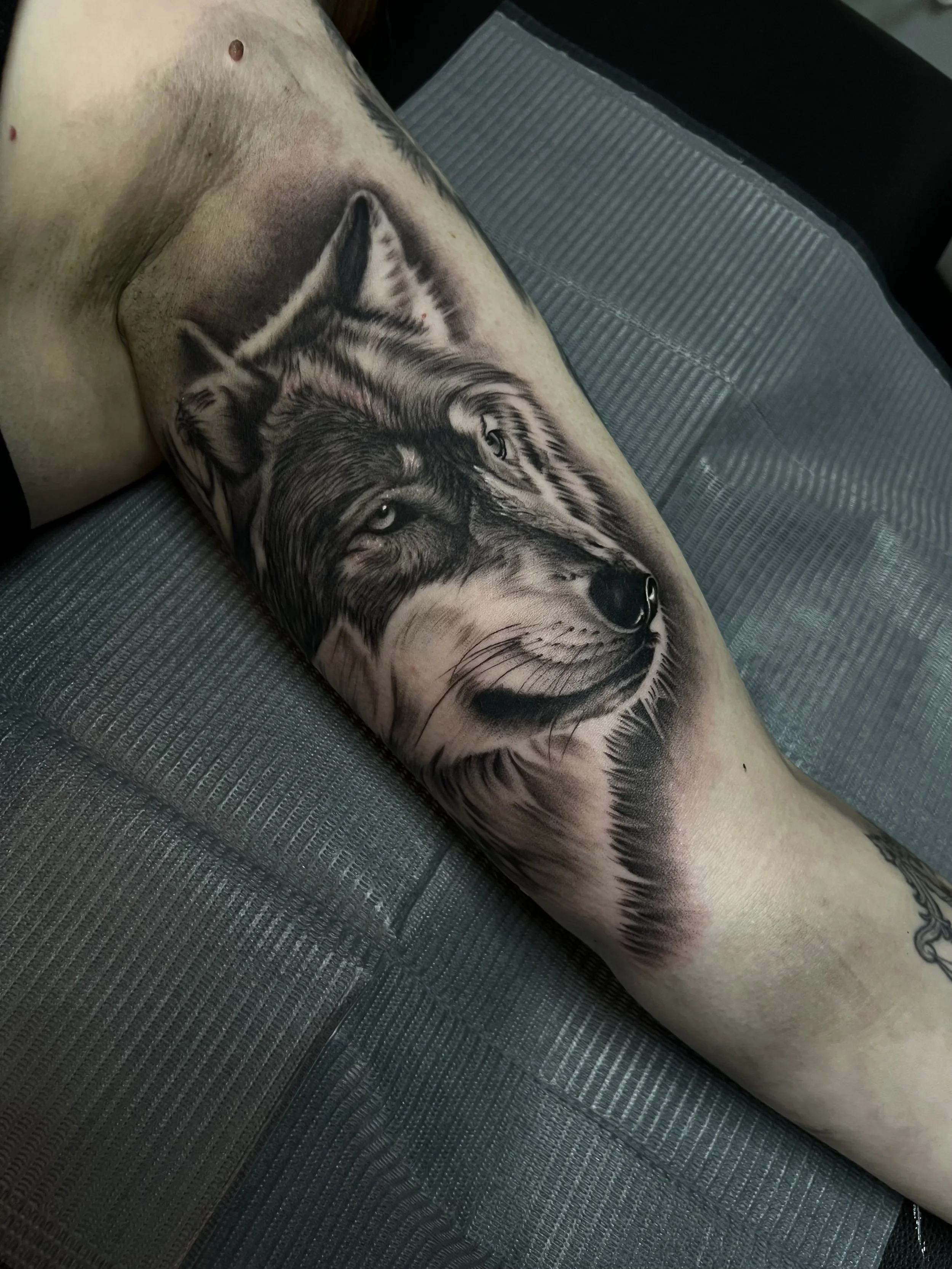 One Full Day Session