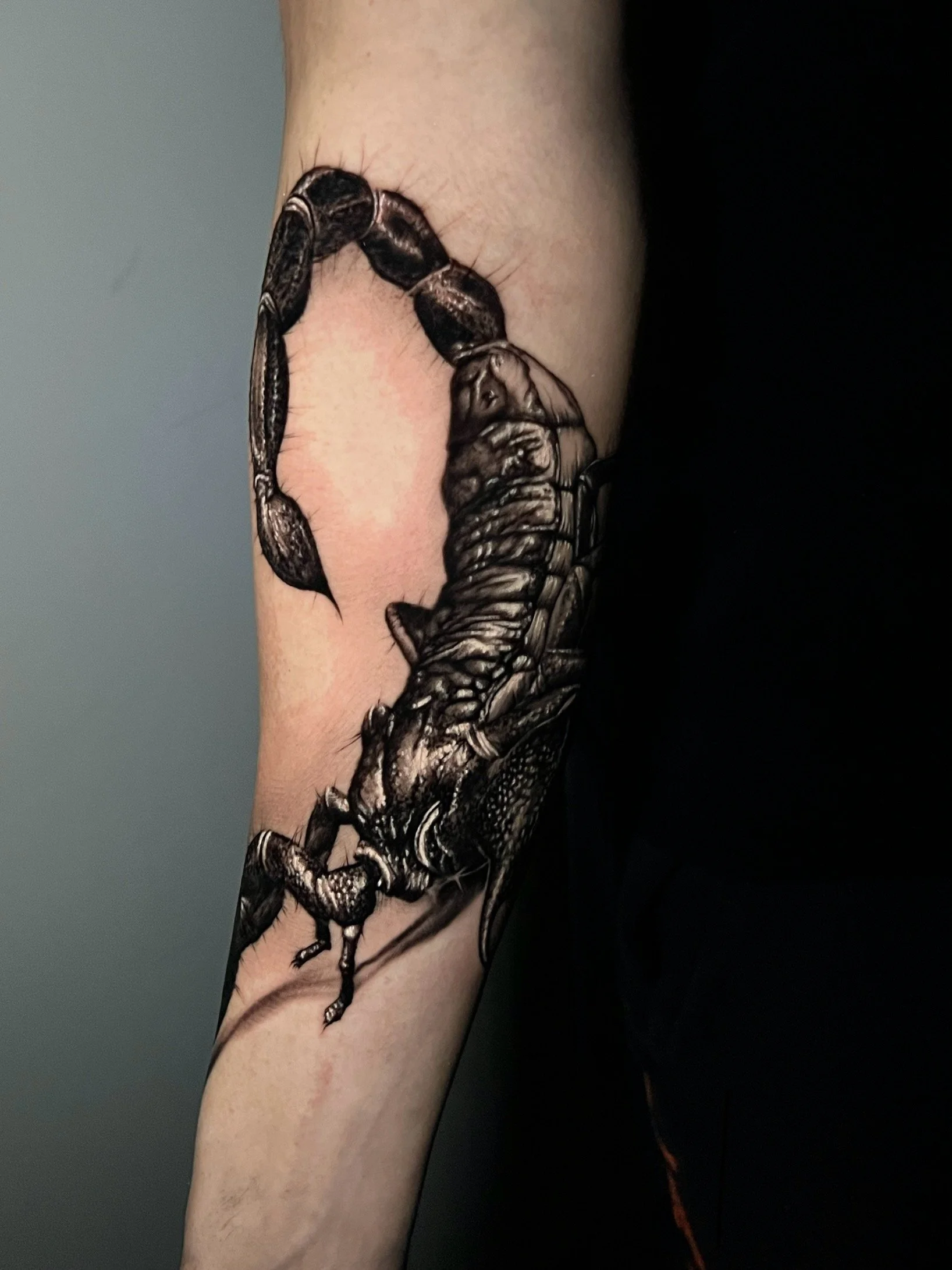 One Full Day Session