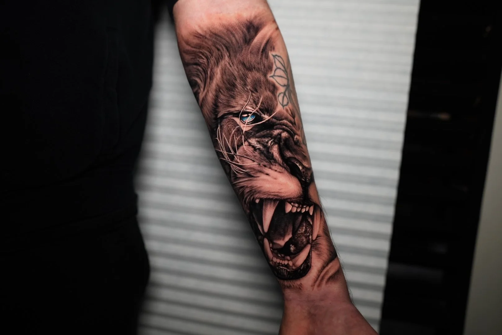 One Full Day Session