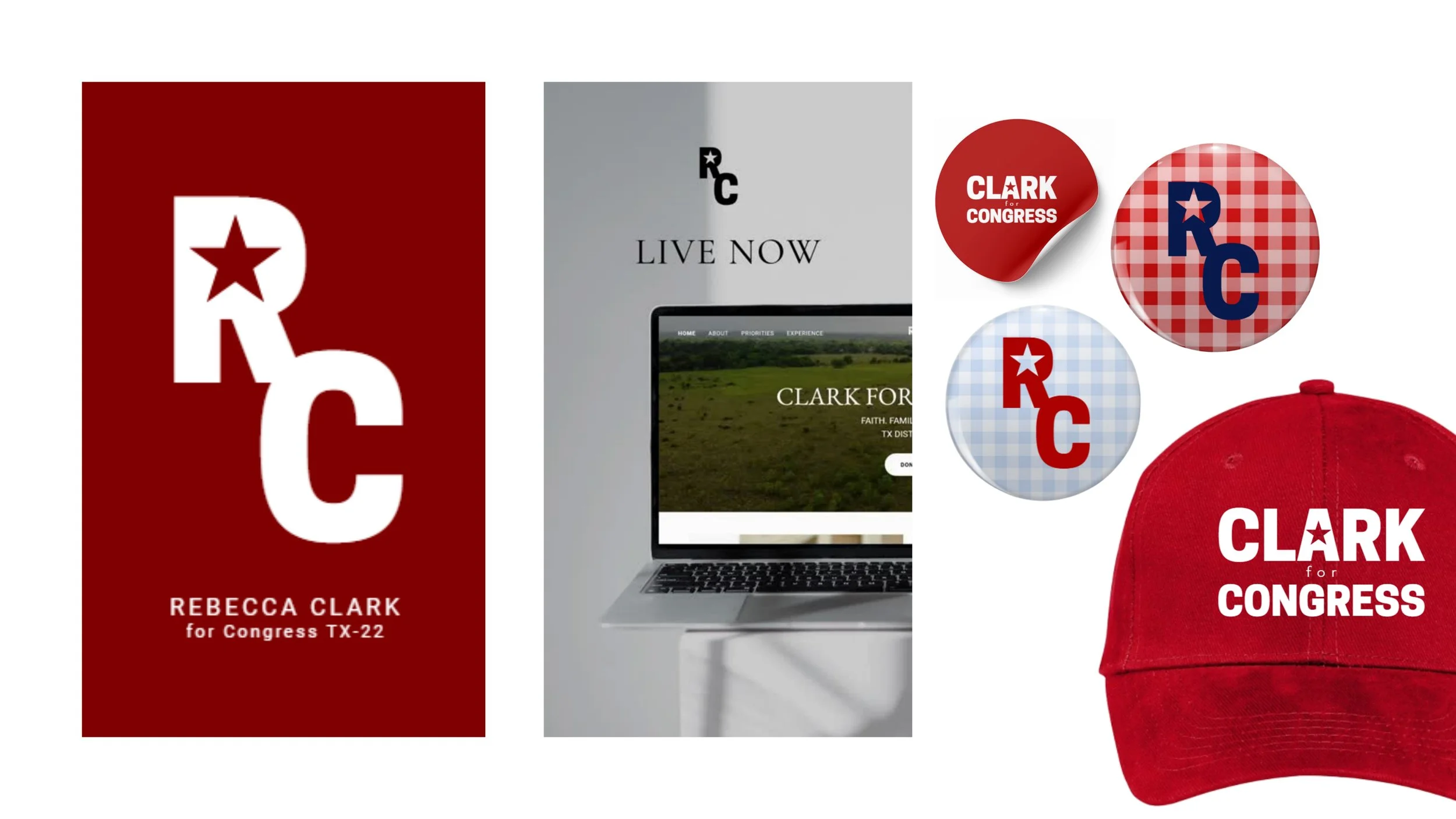 campaign cohesive branding website design product merchandise print materials logo