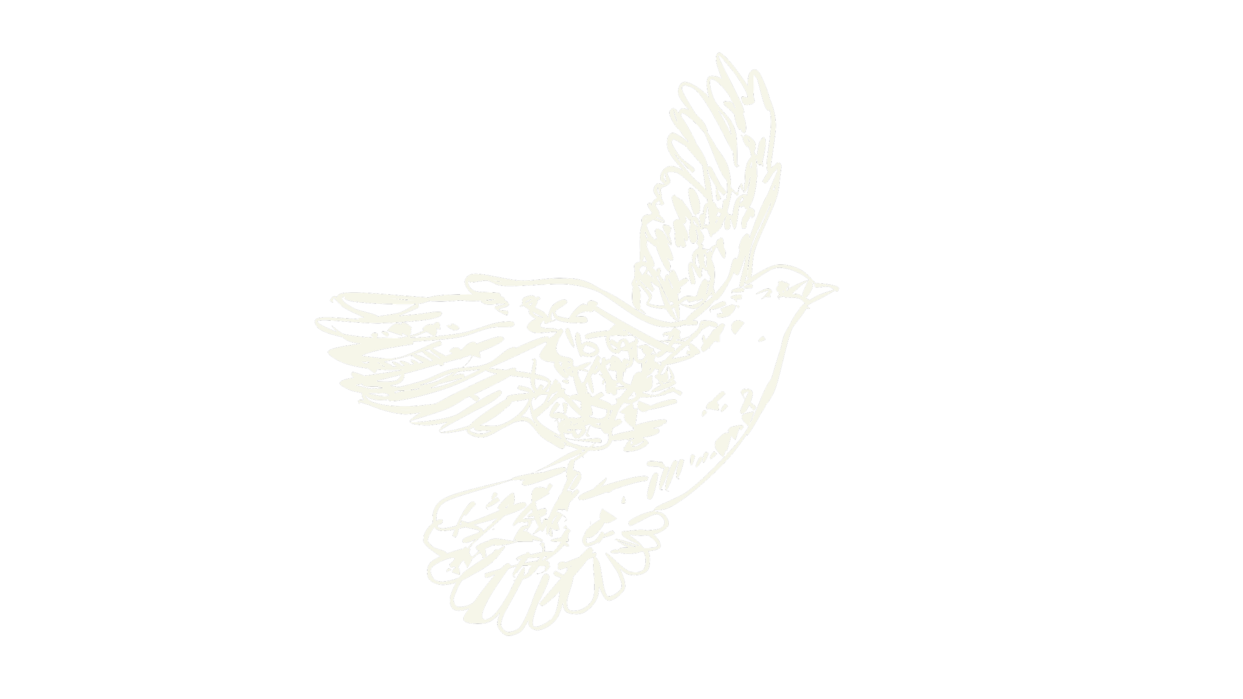 Line drawing of a dove with wings spread, holding an olive branch, on a black background.
