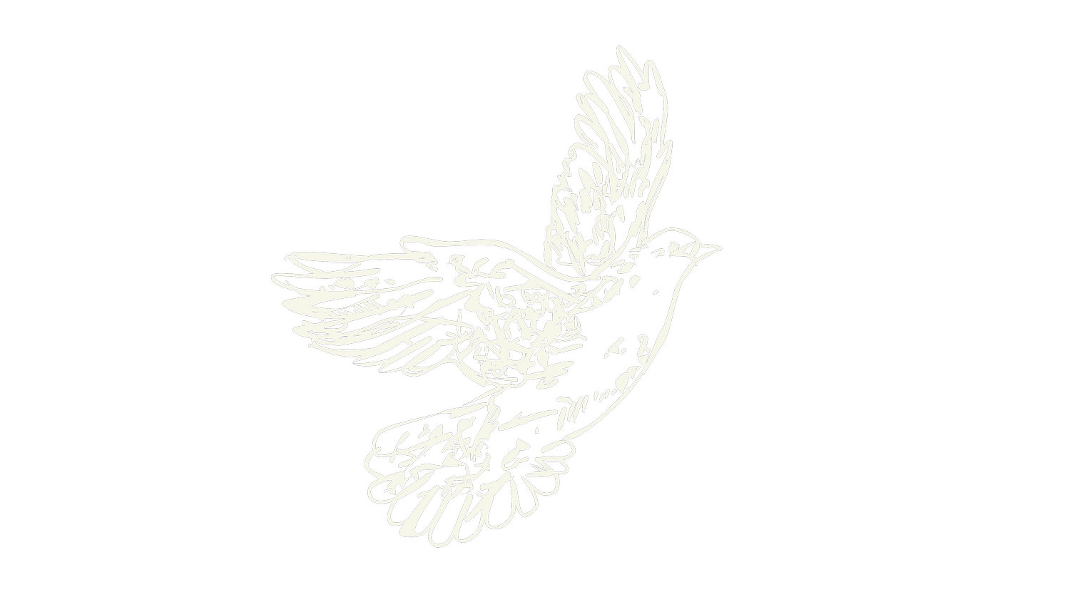 Anna Mays Creative