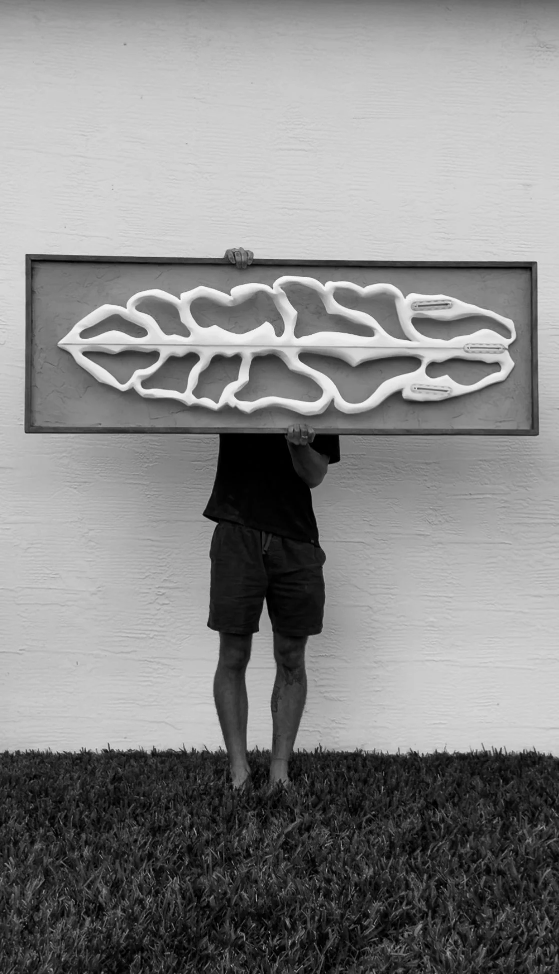 The Reef Collection 002