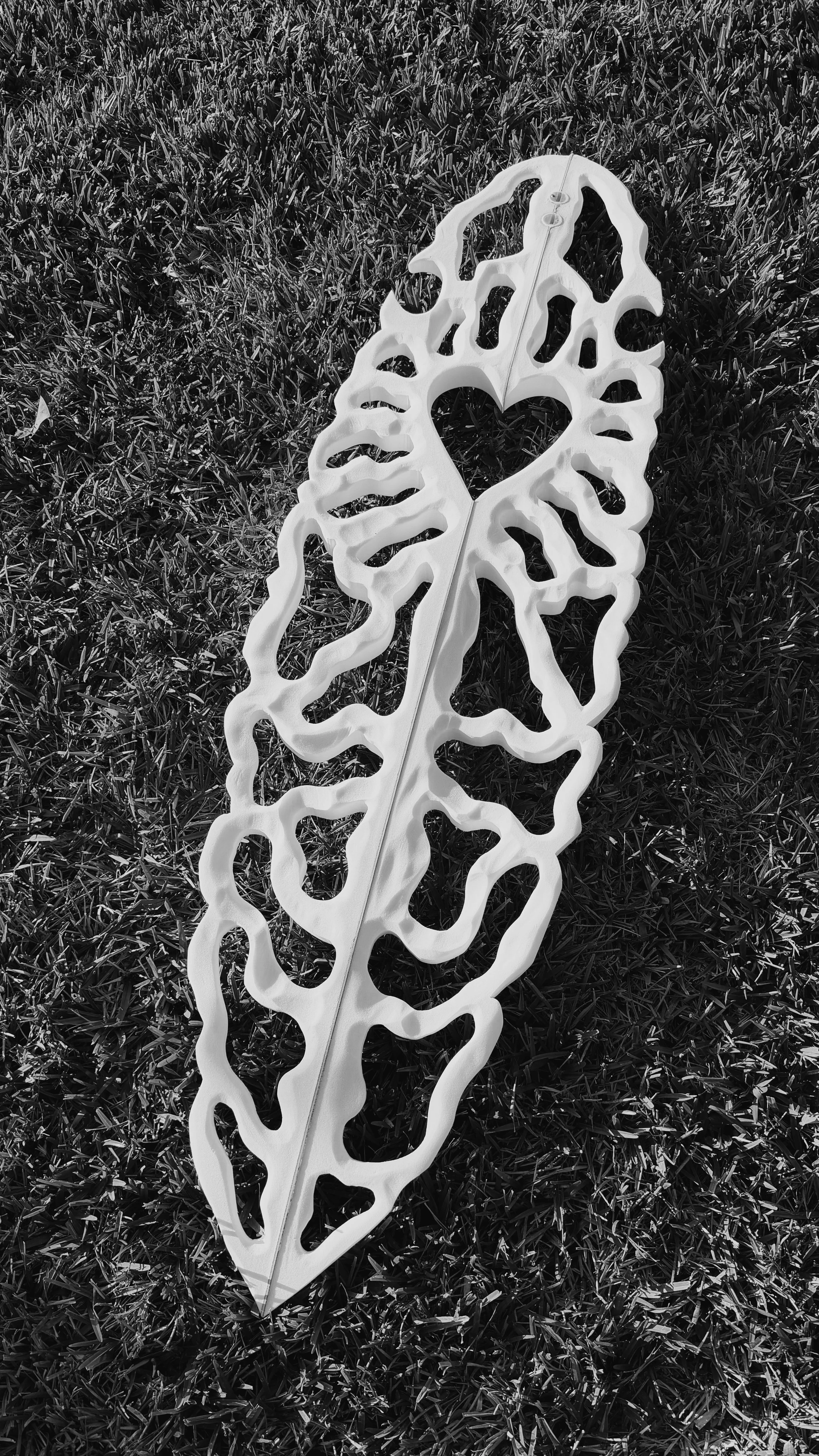 Heart of the Reef - Commission