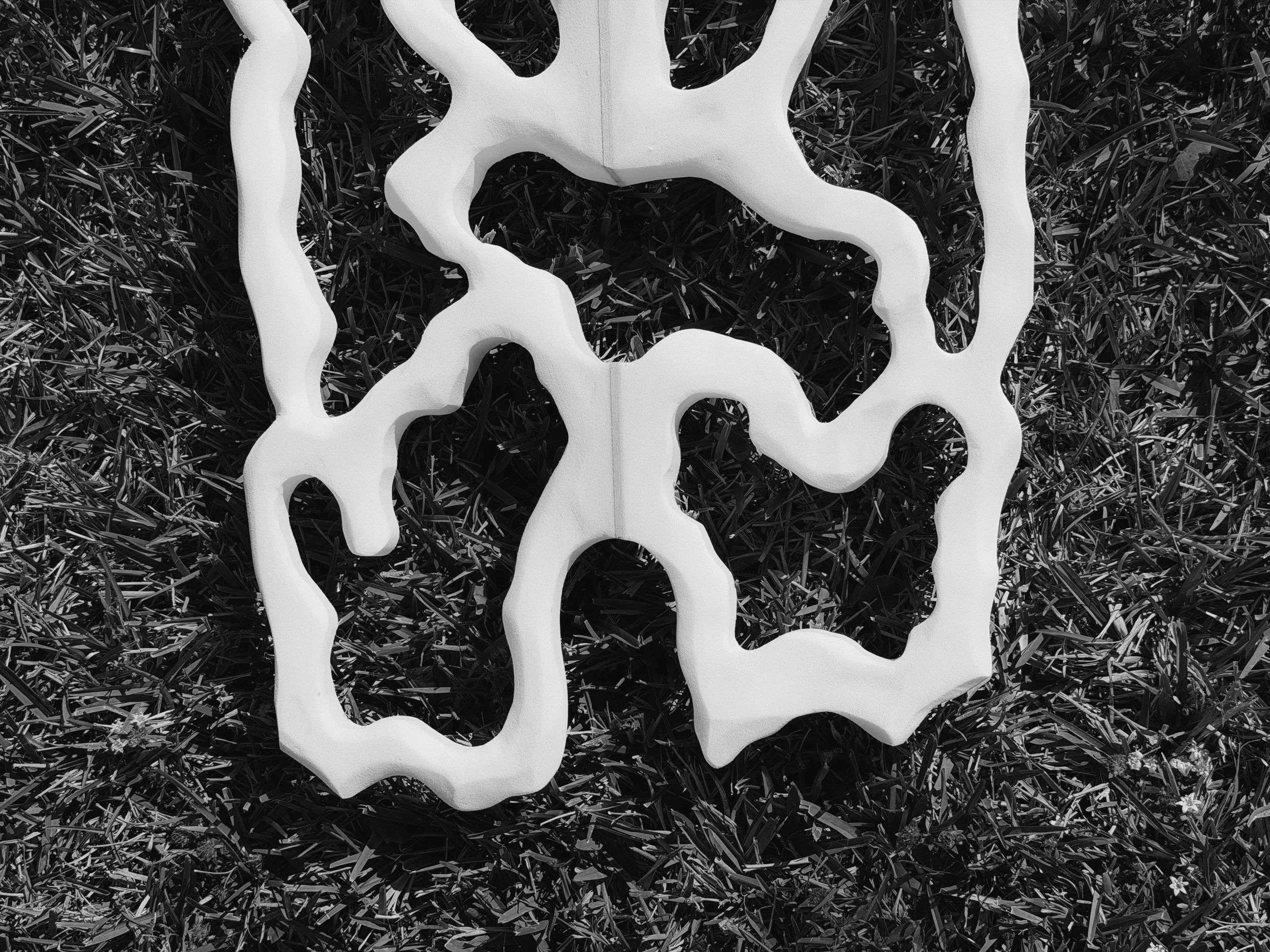 The Reef Collection 003