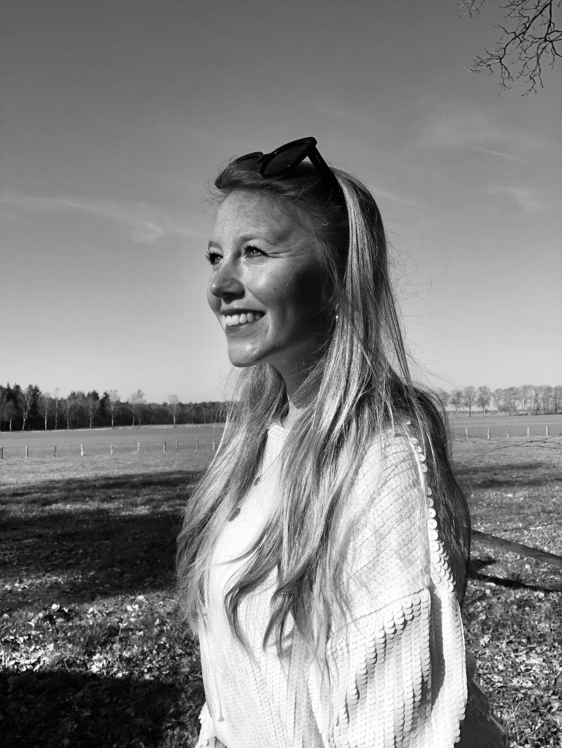 Axelle Druyts Hens van asellens op een zonnige zomerdag