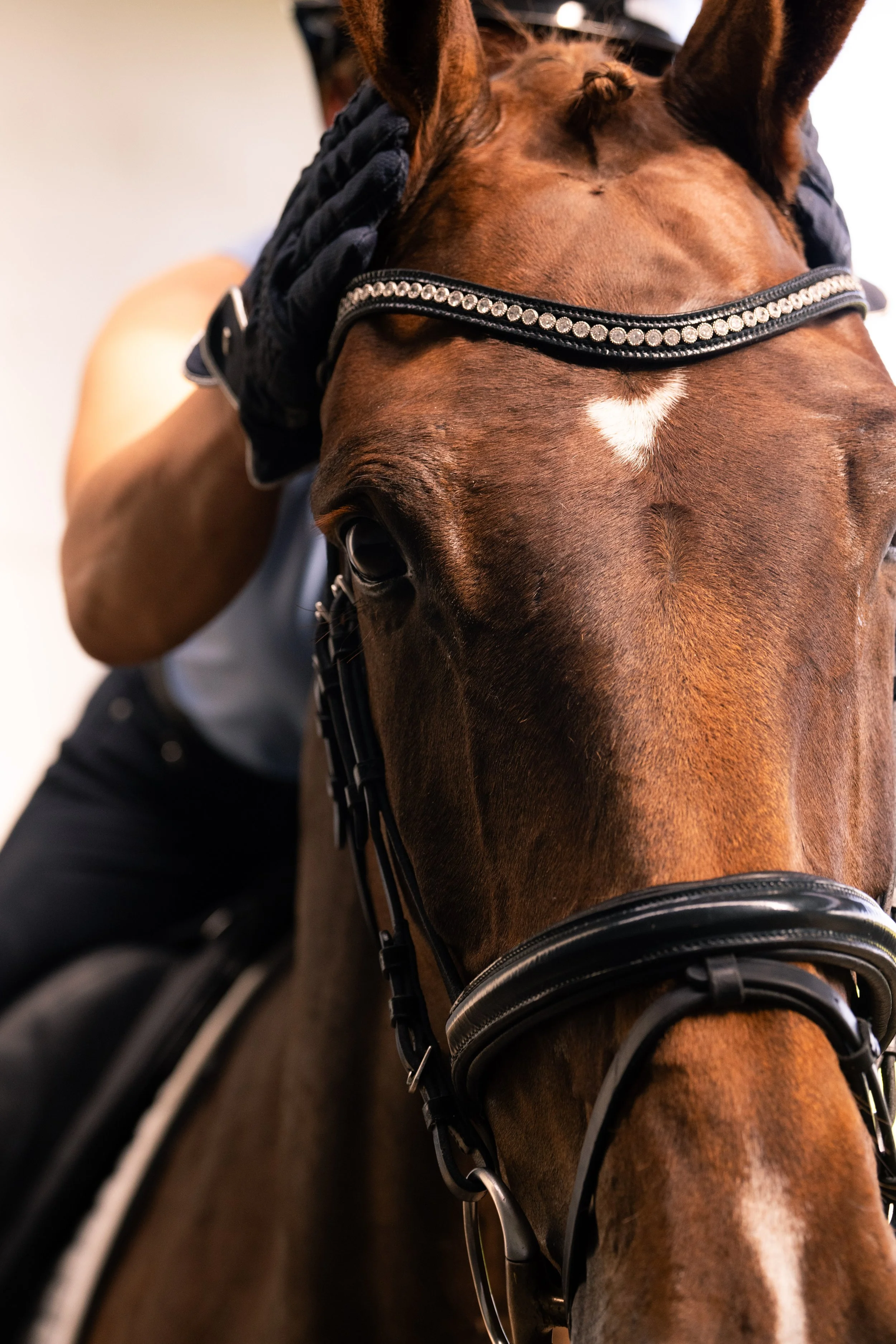 Best friends shoot, horselover