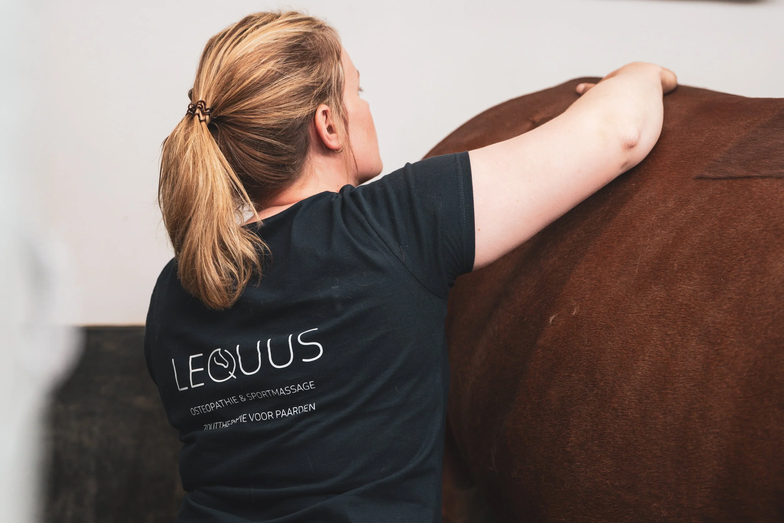 Osteopaat Lequus op foto gezet door axellelens, voor paardenosteopathie