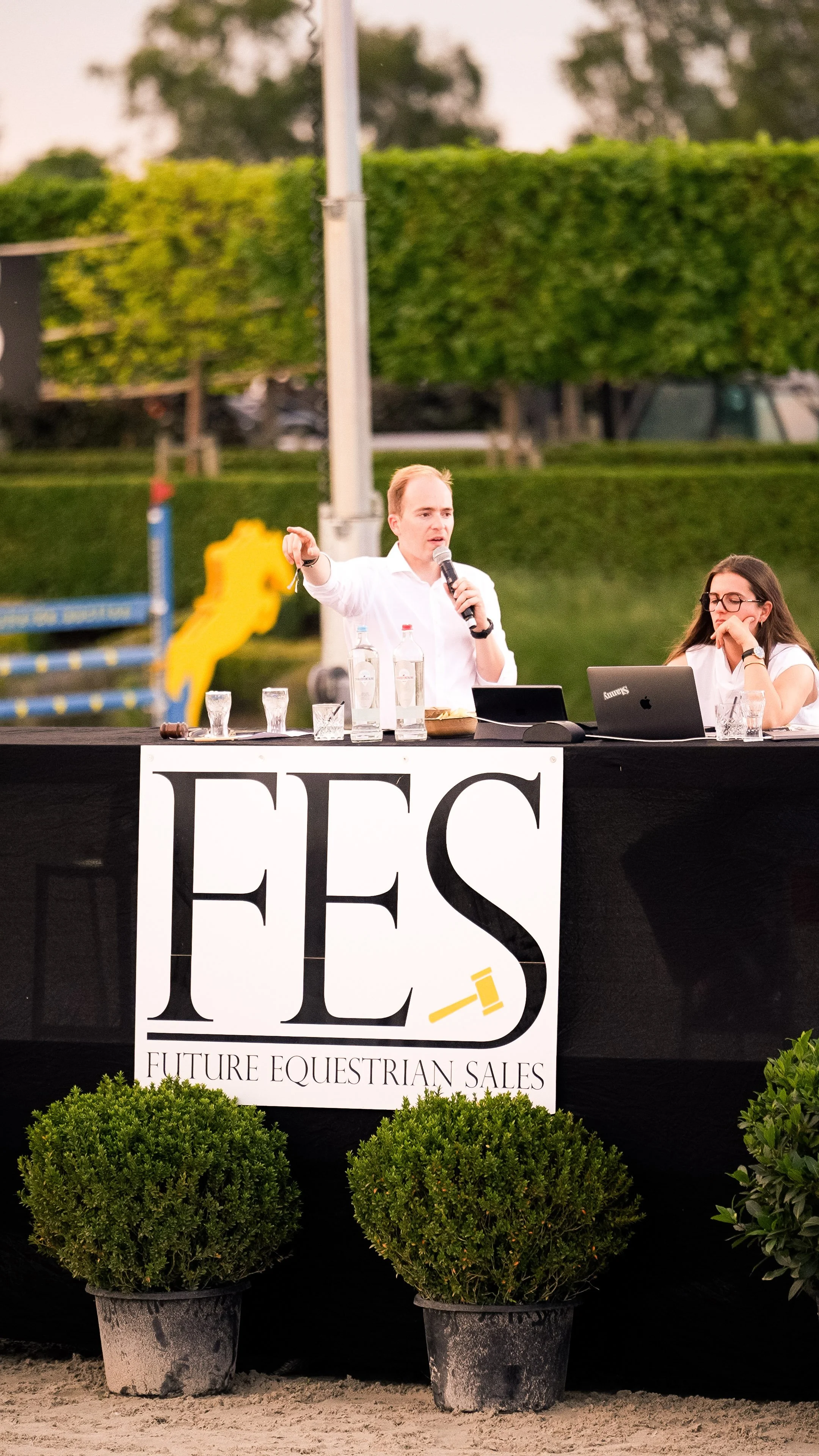 Horse auction FES, captured by axellens