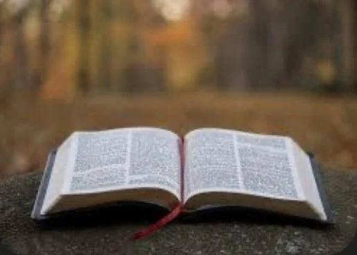 An open book with a red ribbon bookmark placed on a stone surface outdoors, with blurred trees in the background.