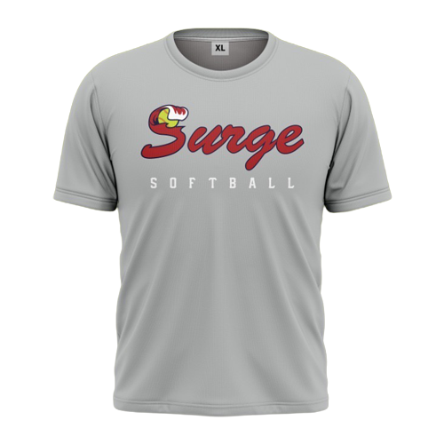 Gray Performance Tee