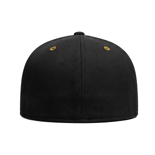 adp-hat-back.png