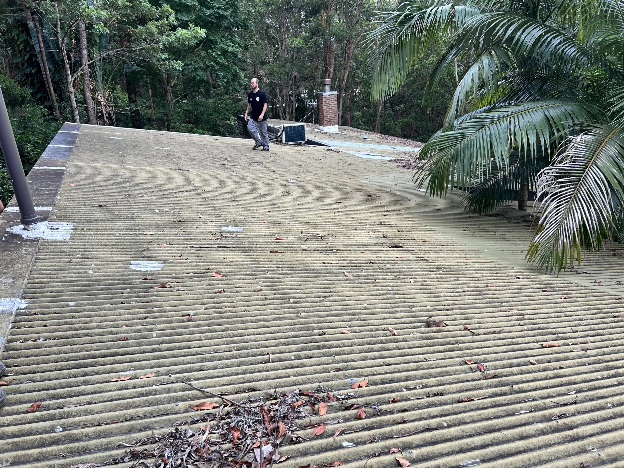 A man standing on a sloped roof with a pile of leaves and debris, surrounded by green trees and plants.