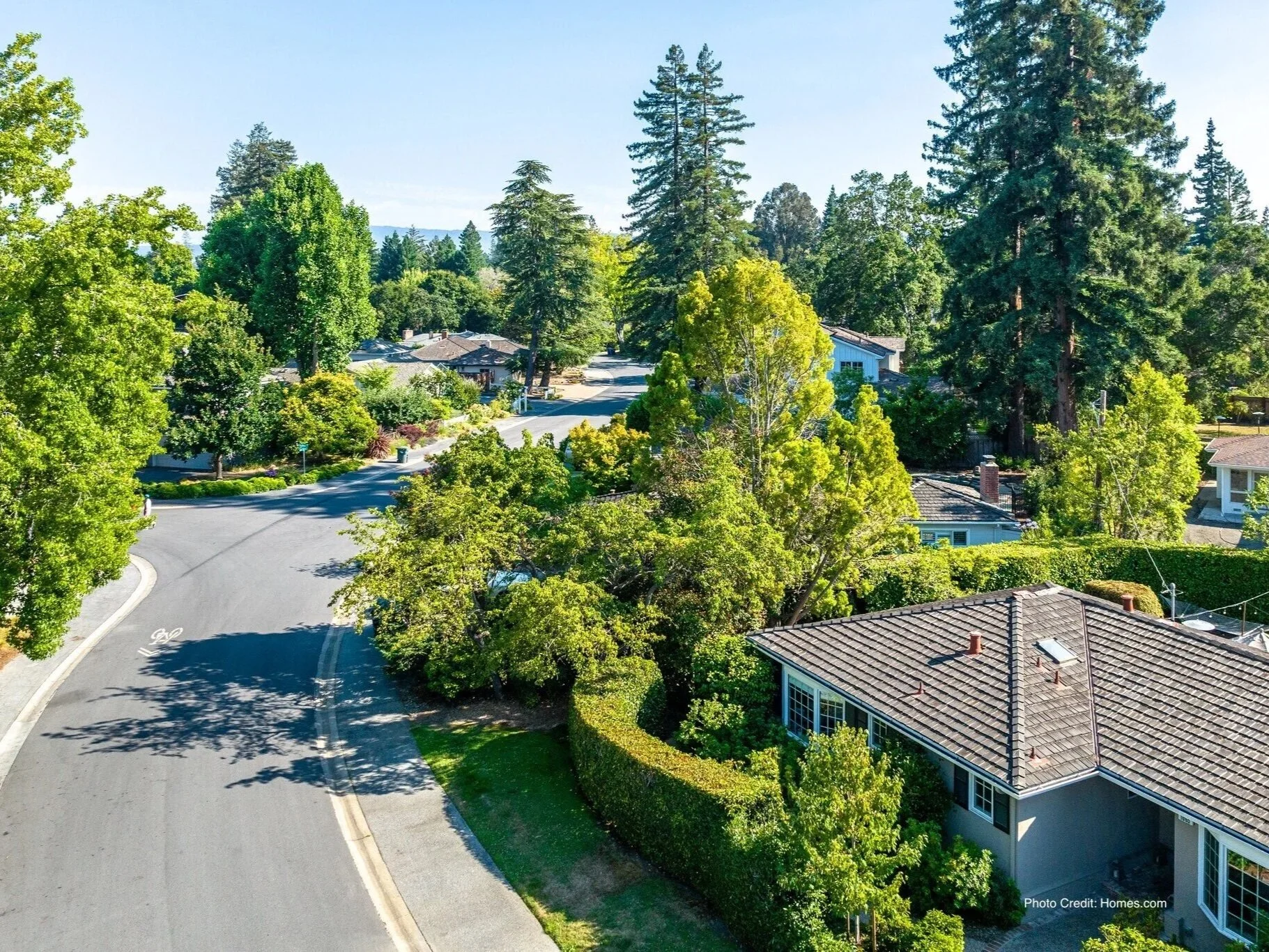Tree-lined residential street in Central Menlo Park, California, showing a quiet and established neighborhood.
