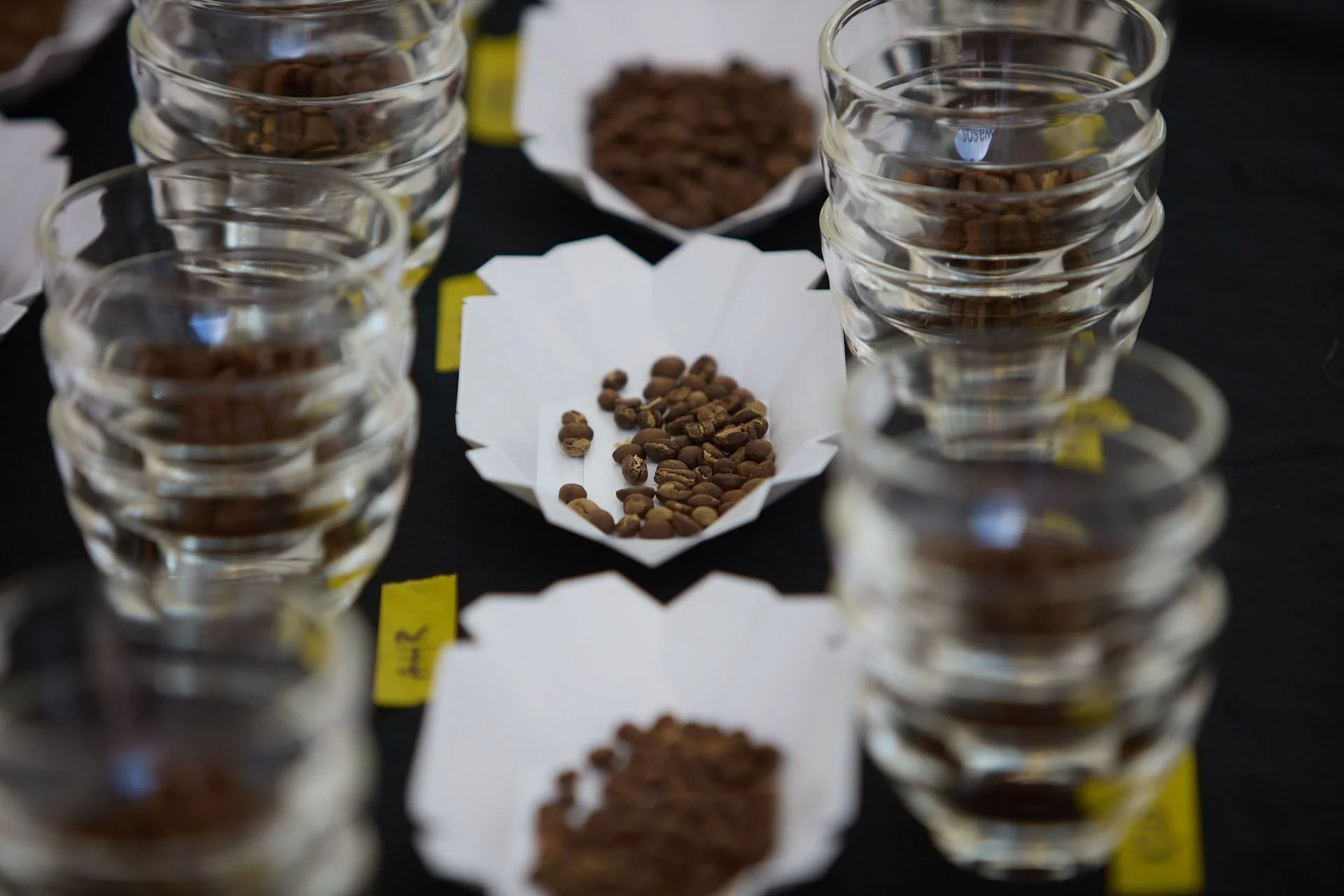 GCF24_0001504 Brewed by hand.jpg