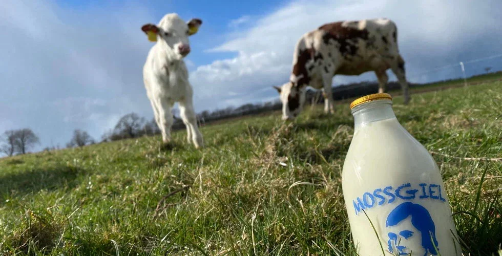 Introducing: Mossgiel organic dairy