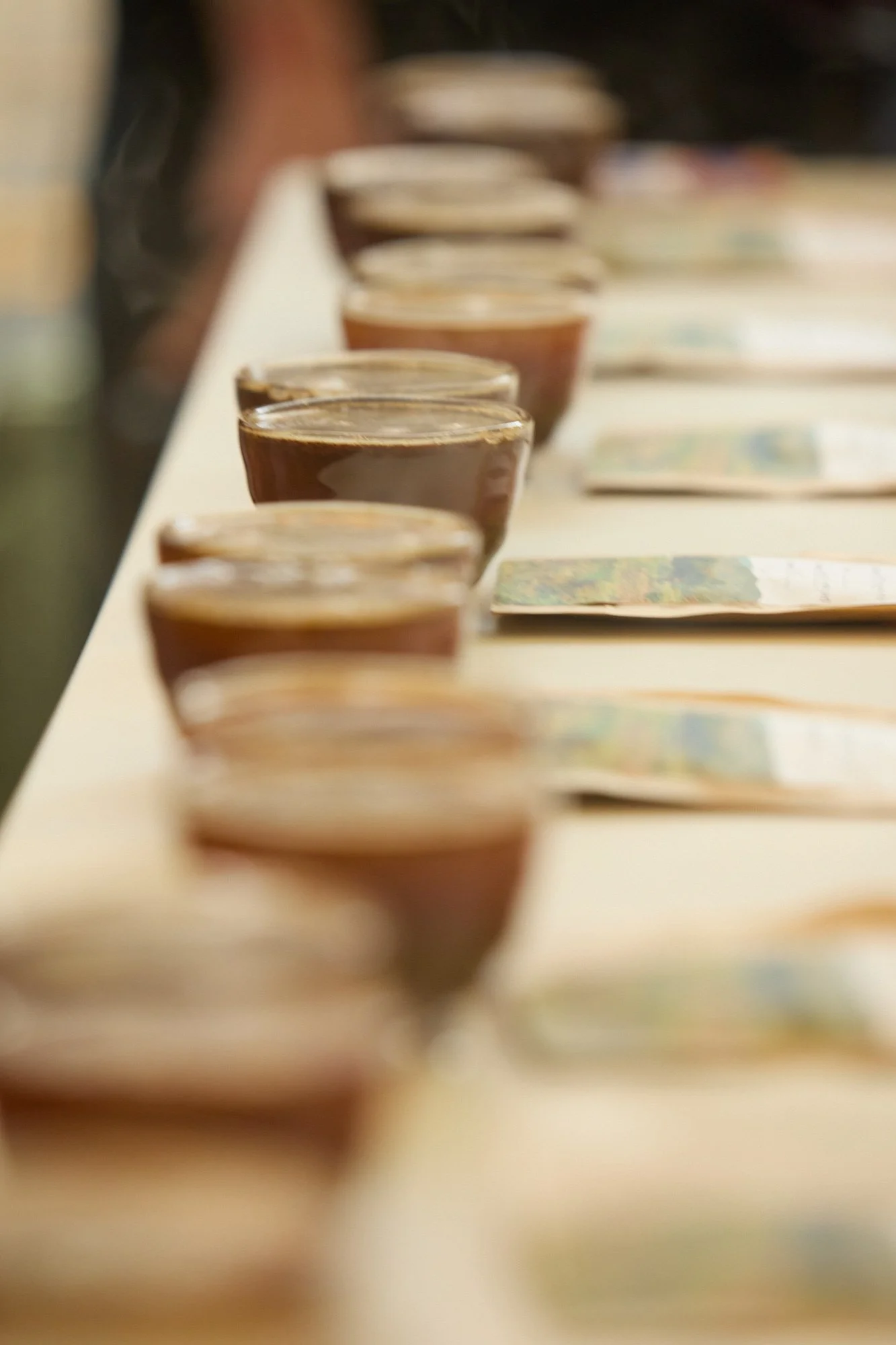 what’s on: Cupping Room