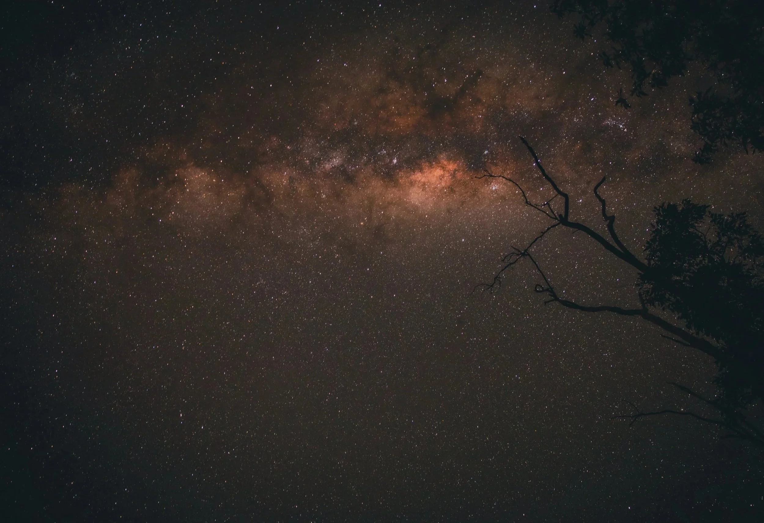 NT_MilkeyWay_1006.jpg