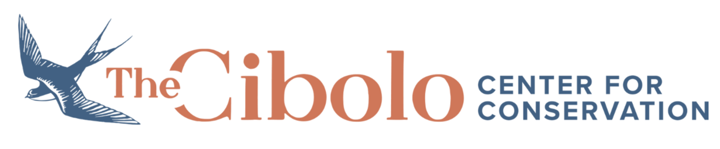 Logo of The Nature Conservancy featuring a stylized blue bird and the text 'The Cibolo Center for Conservation'.