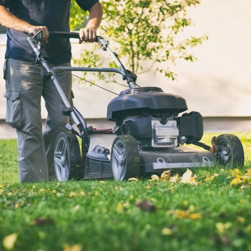 Person pushing a black lawn mower on a green lawn with fallen leaves and in front of a background with trees.