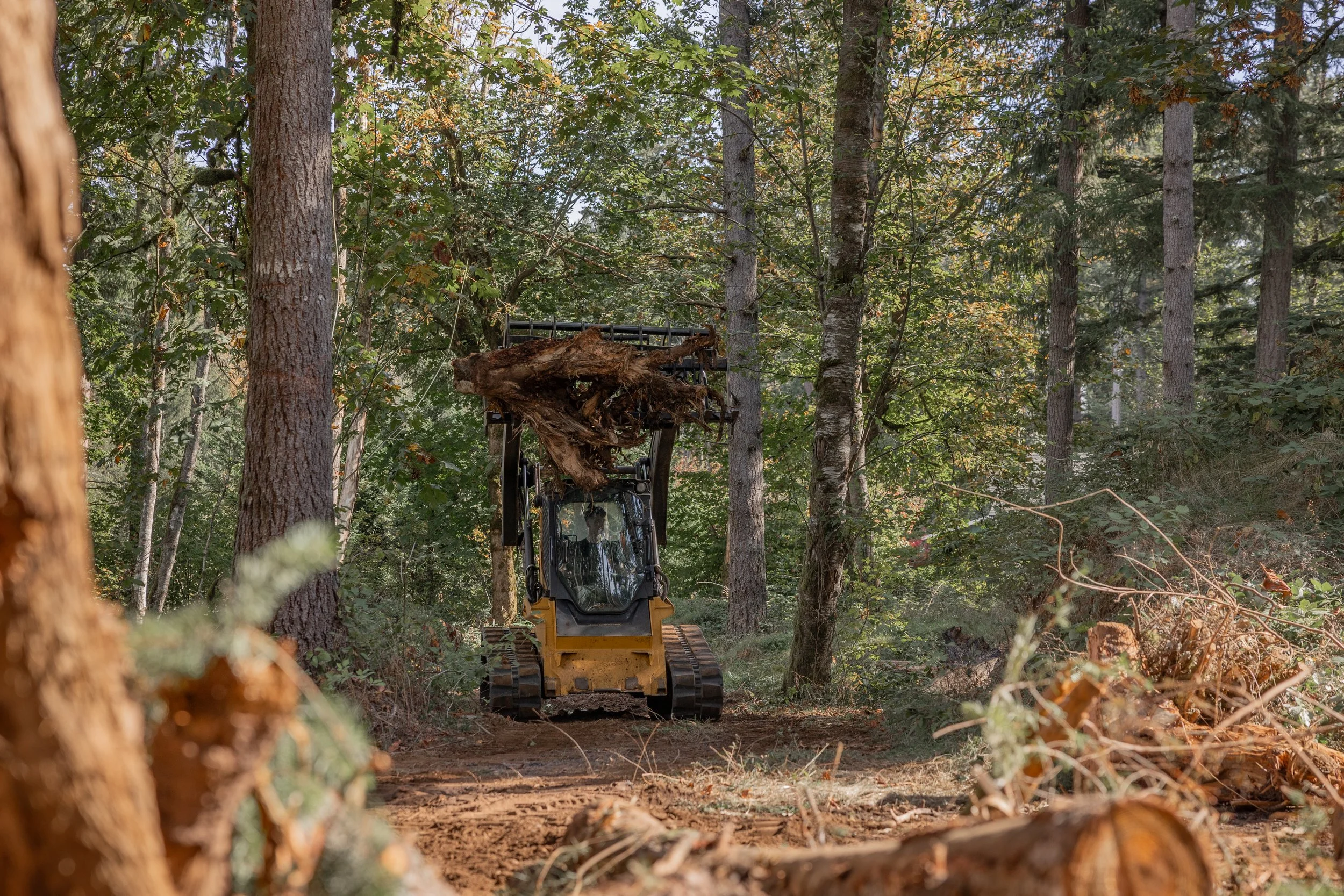 A small tracked excavator moving a large tree root in a forested area, surrounded by trees and fallen branches.