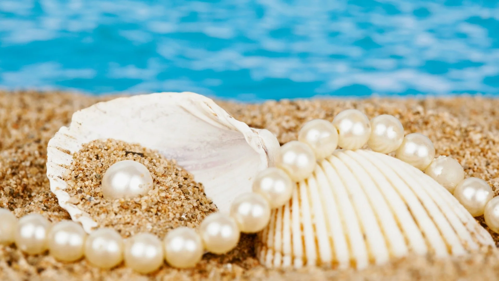 Close-up of a seashell, pearl necklace, and sand on a beach with the ocean in the background.