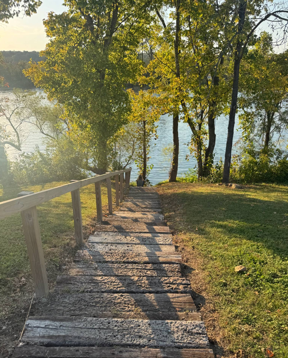 Wooden staircase leading down to a lakeside with trees and green grass, calm water, and sunlight filtering through the leaves.
