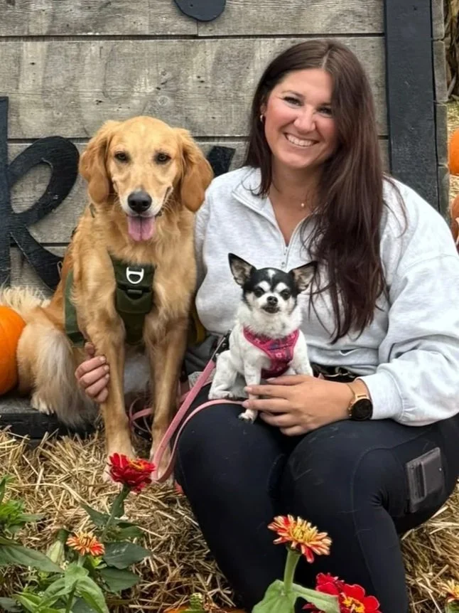 A woman sitting outdoors on hay with a golden retriever and a small black and white Chihuahua, with pumpkins and flowers nearby.