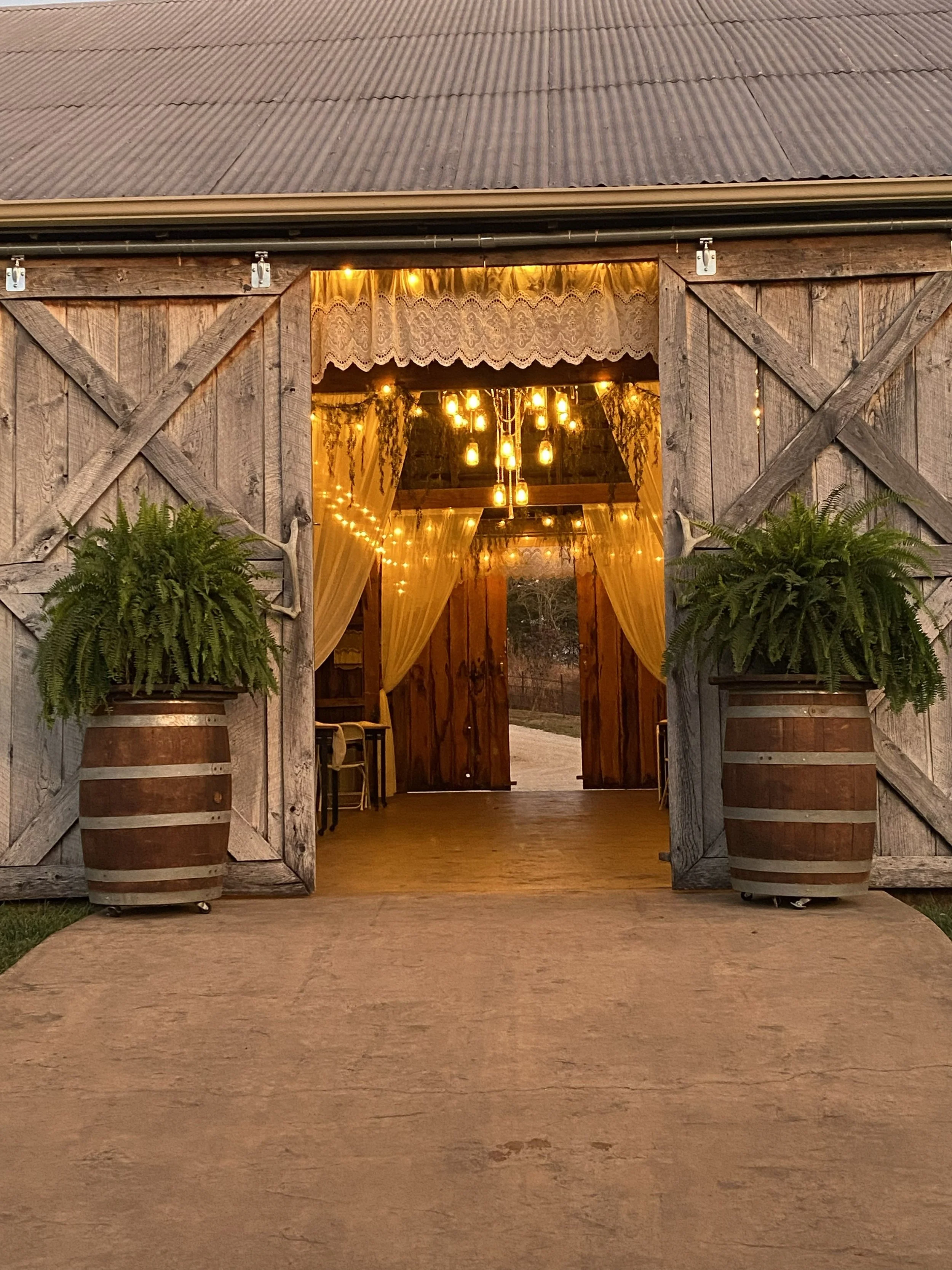 Open barn door with string lights and lace curtains, potted ferns on barrels, rustic interior, daytime outside.