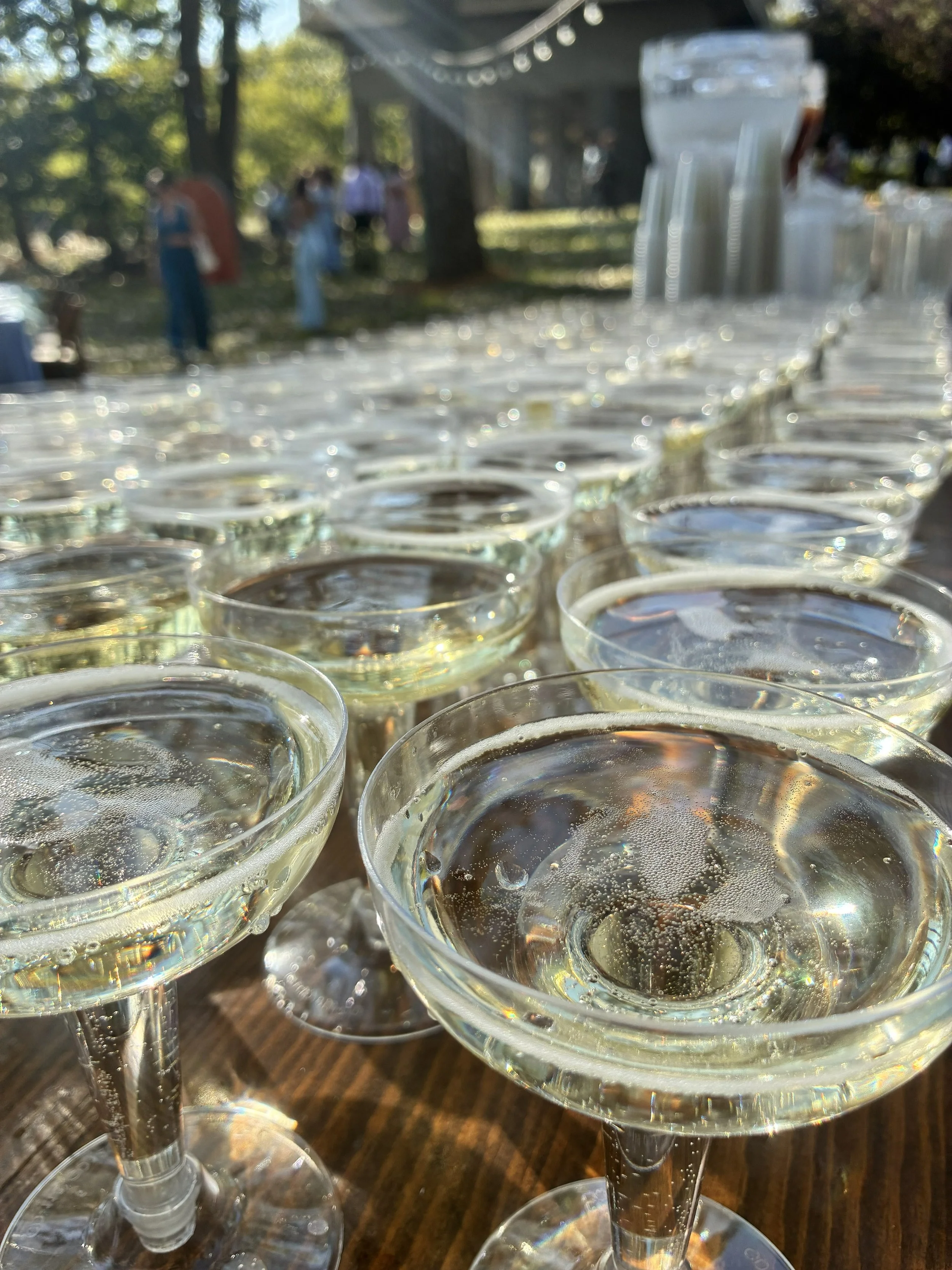 Several champagne glasses filled with bubbly champagne, arranged outdoors with trees and people in the background.