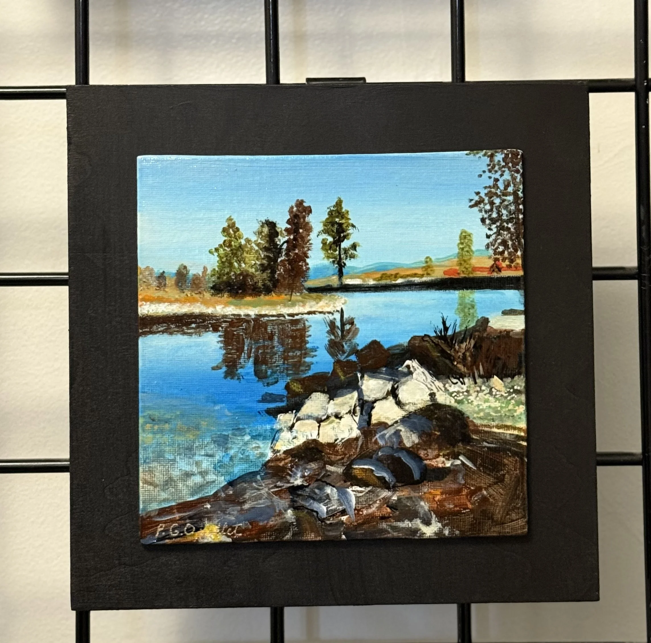 Moon Shadow RV and Campground in Merritt-SOLD